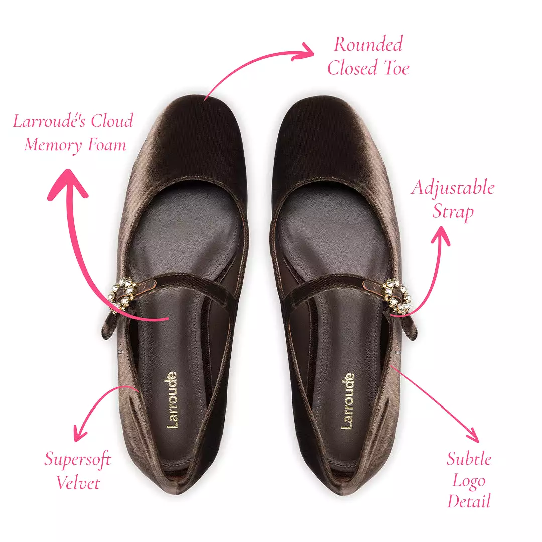 Blair Ballet Flat In Expresso Velvet