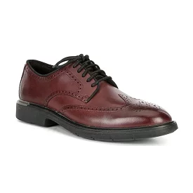 Cole Haan Men's Go To Wingtip C34122 - Pinot