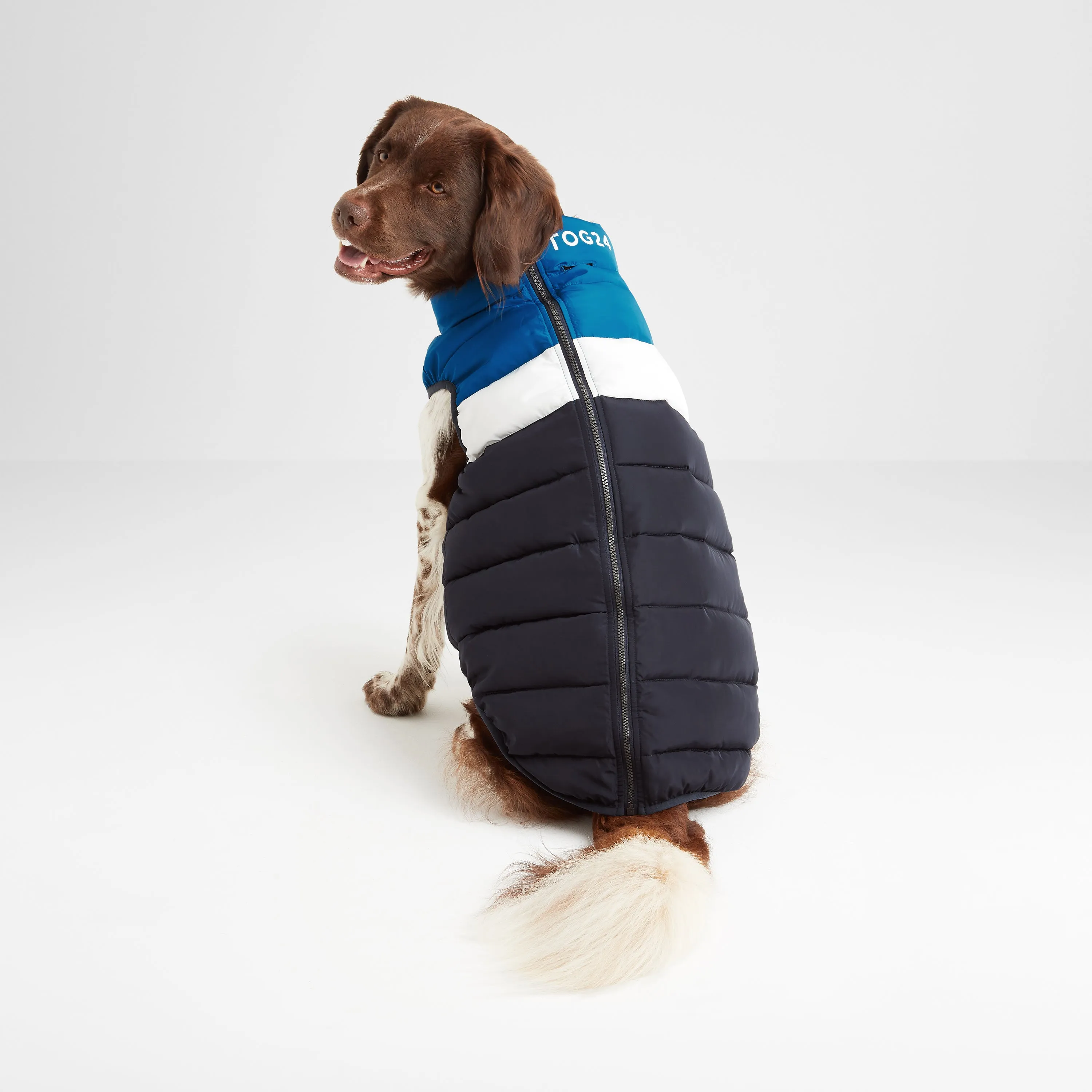 Fetch Padded Dog Coat M - Peacock Blue/Dark Indigo/Optic White