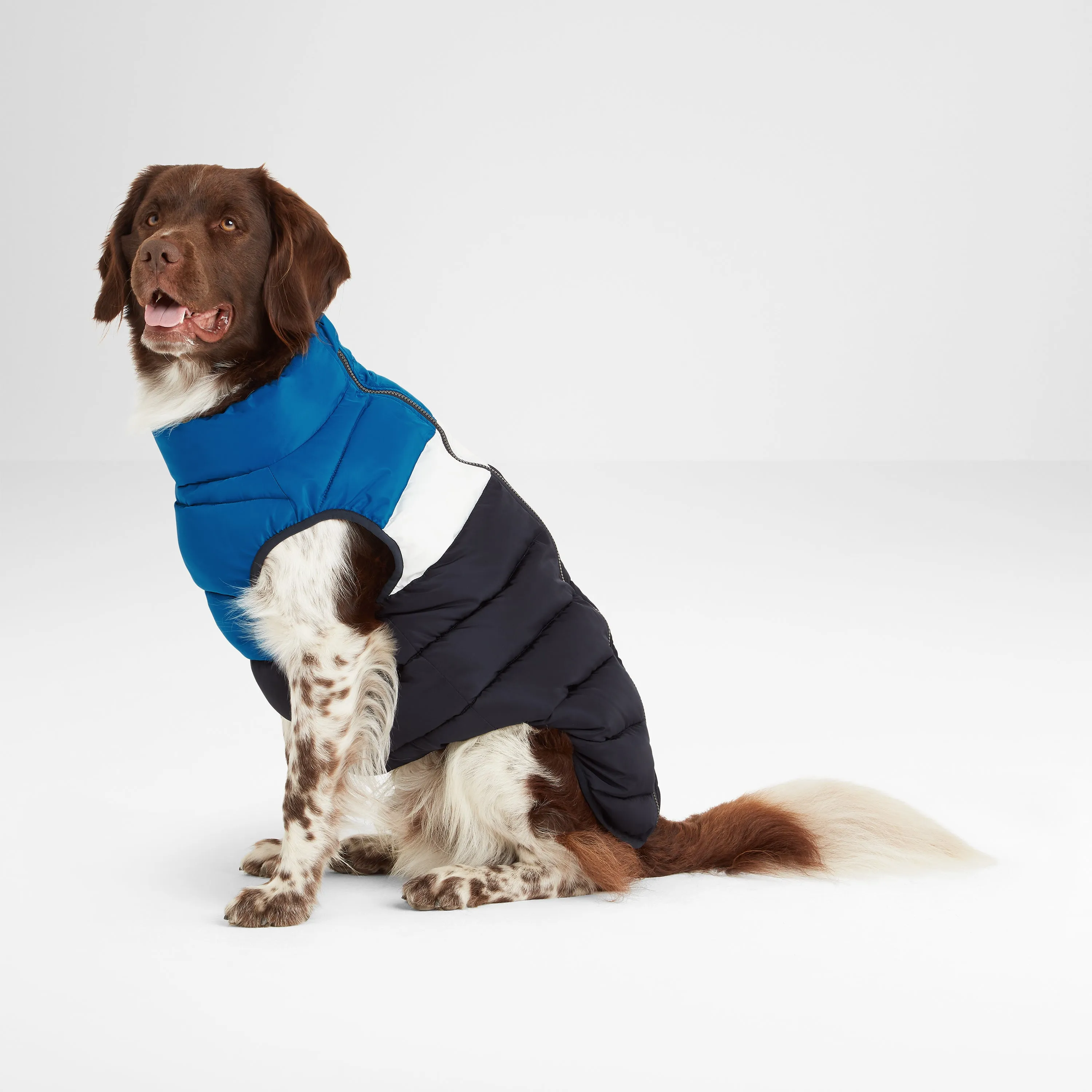 Fetch Padded Dog Coat M - Peacock Blue/Dark Indigo/Optic White