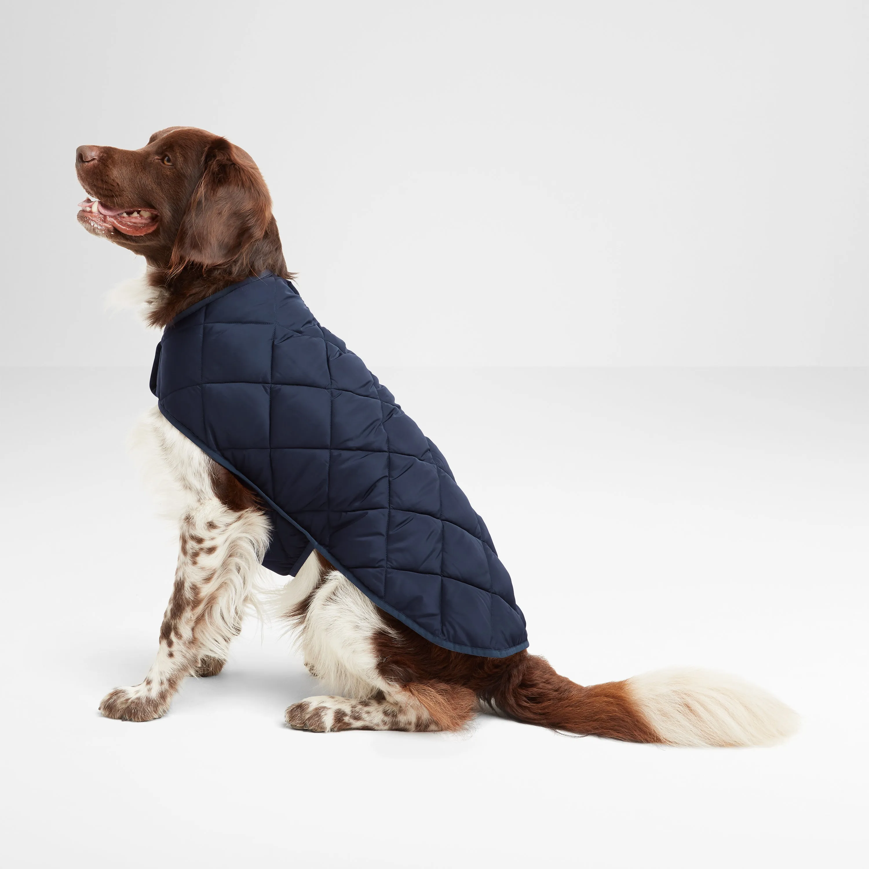 Fido Padded Dog Coat S - Dark Indigo