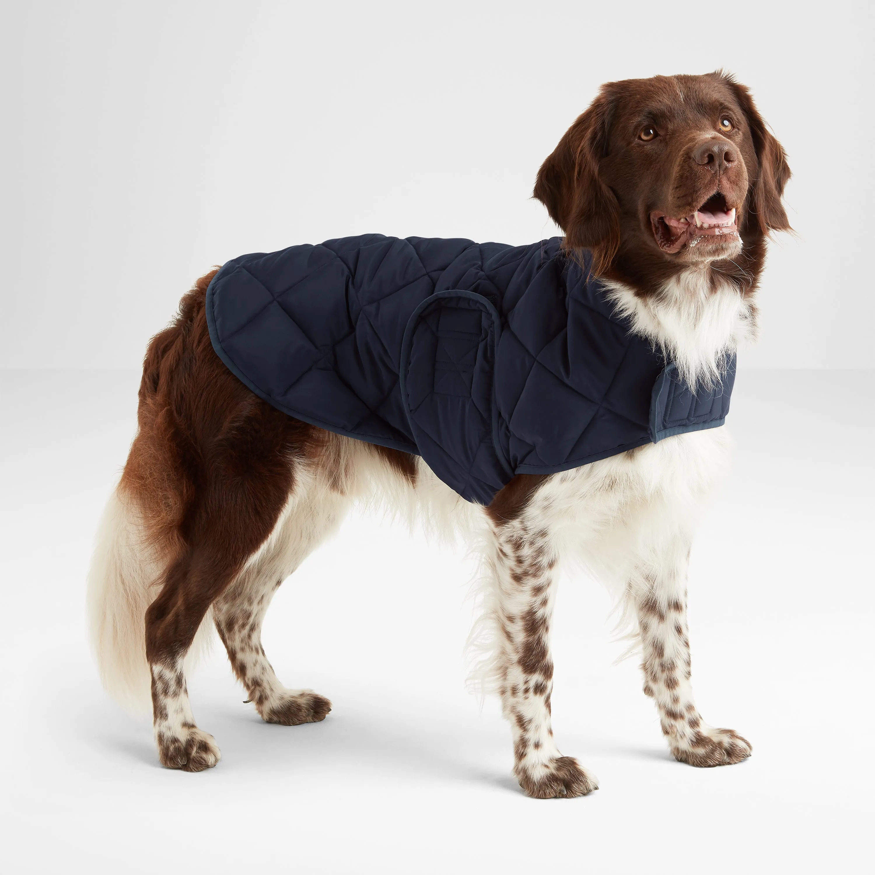 Fido Padded Dog Coat S - Dark Indigo