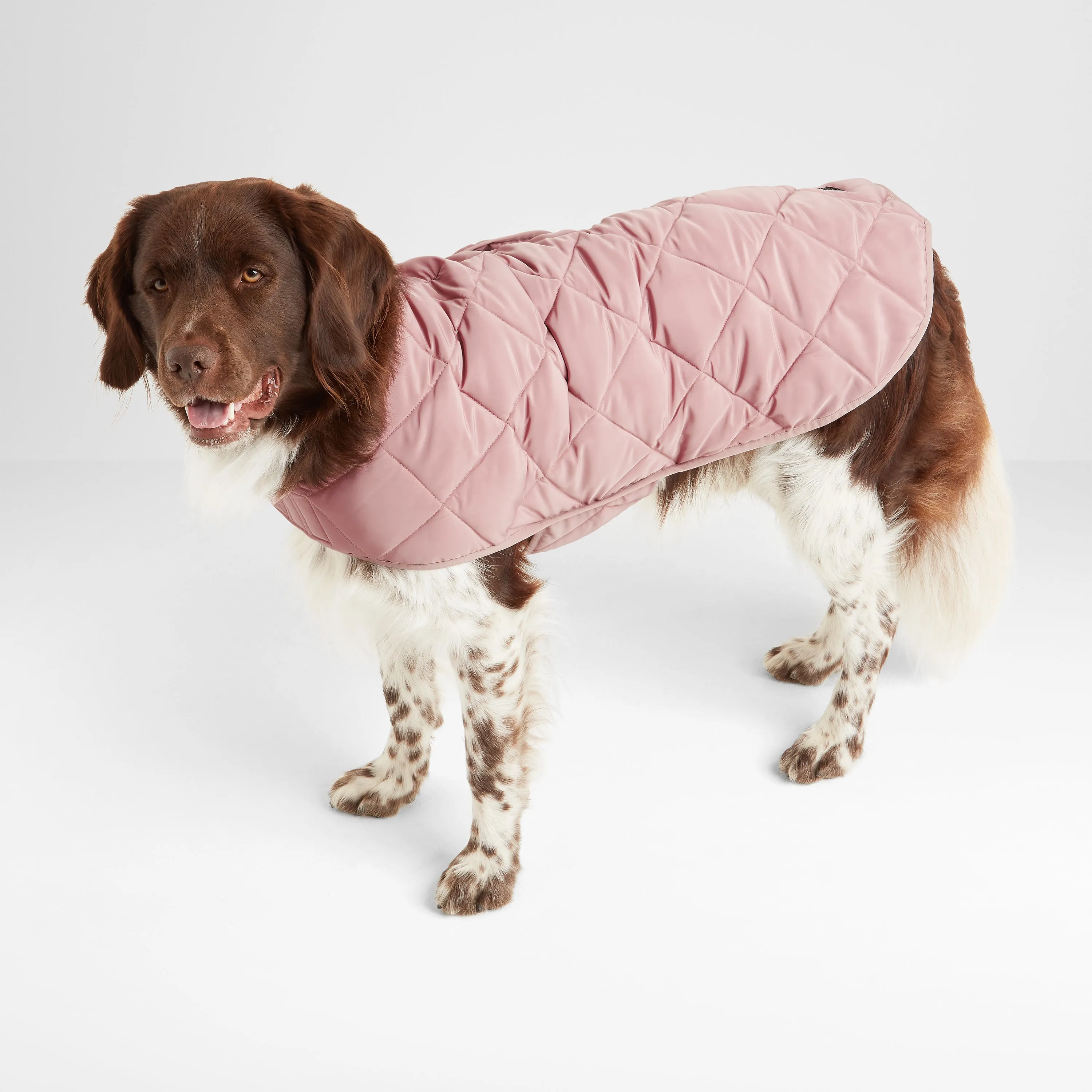 Fido Padded Dog Coat S - Faded Pink