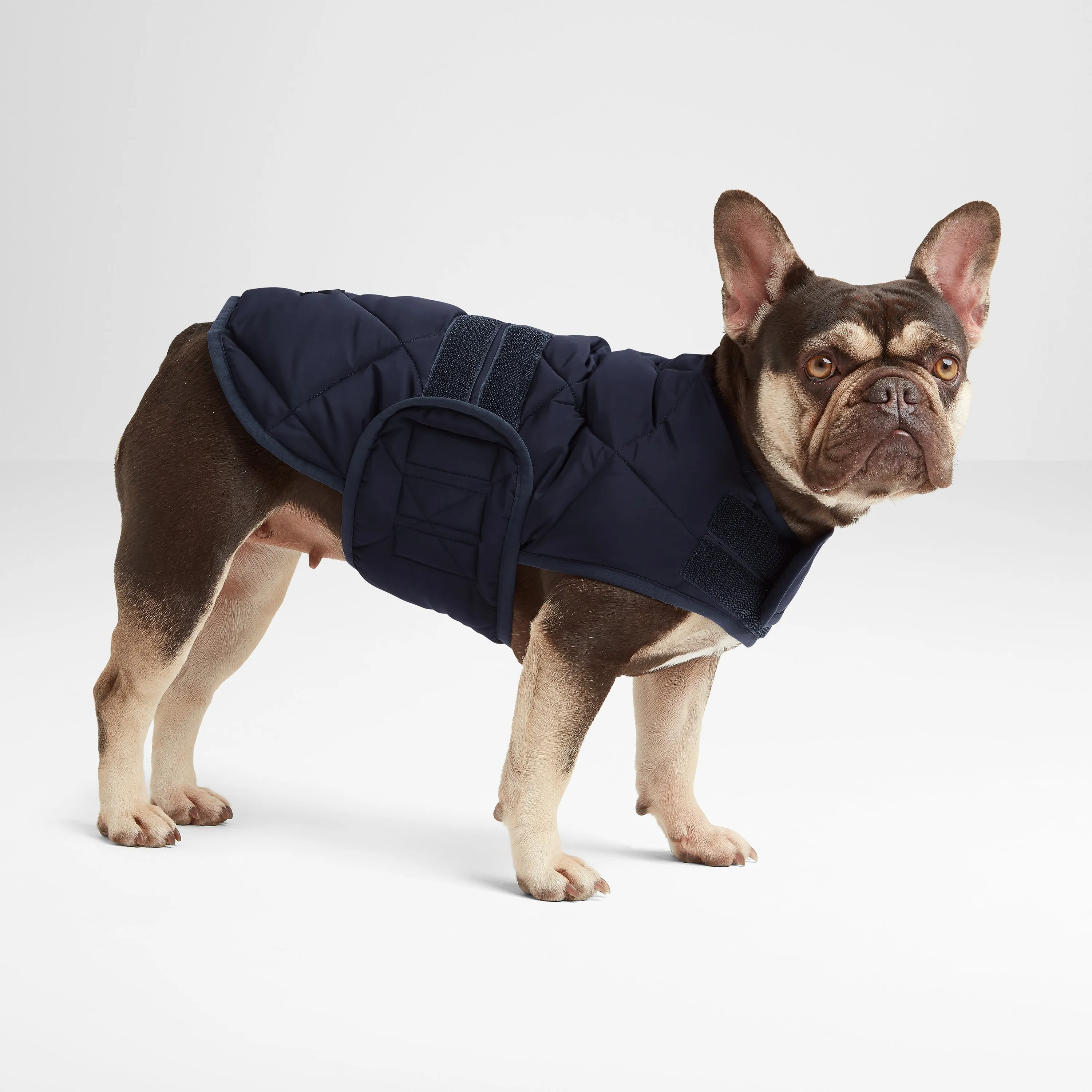 Fido Padded Dog Coat XS - Dark Indigo