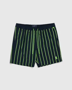 MENS ALTON STRIPE SWIM TRUNK - B6W446C200