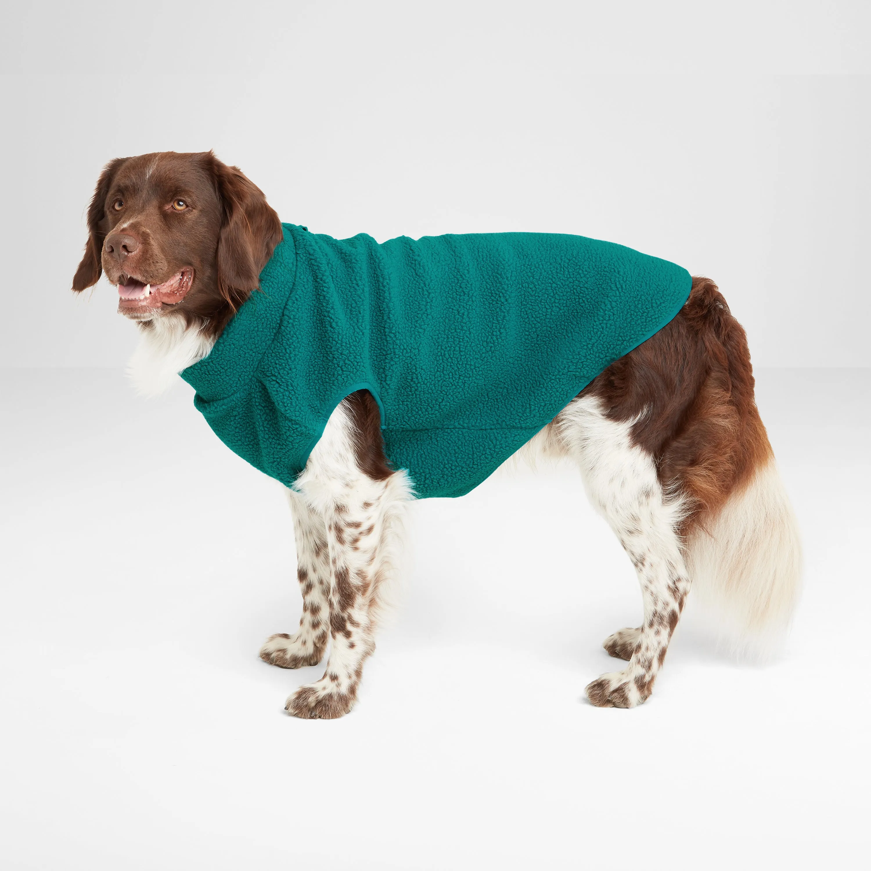 Rover Sherpa Dog Coat XL - Teal